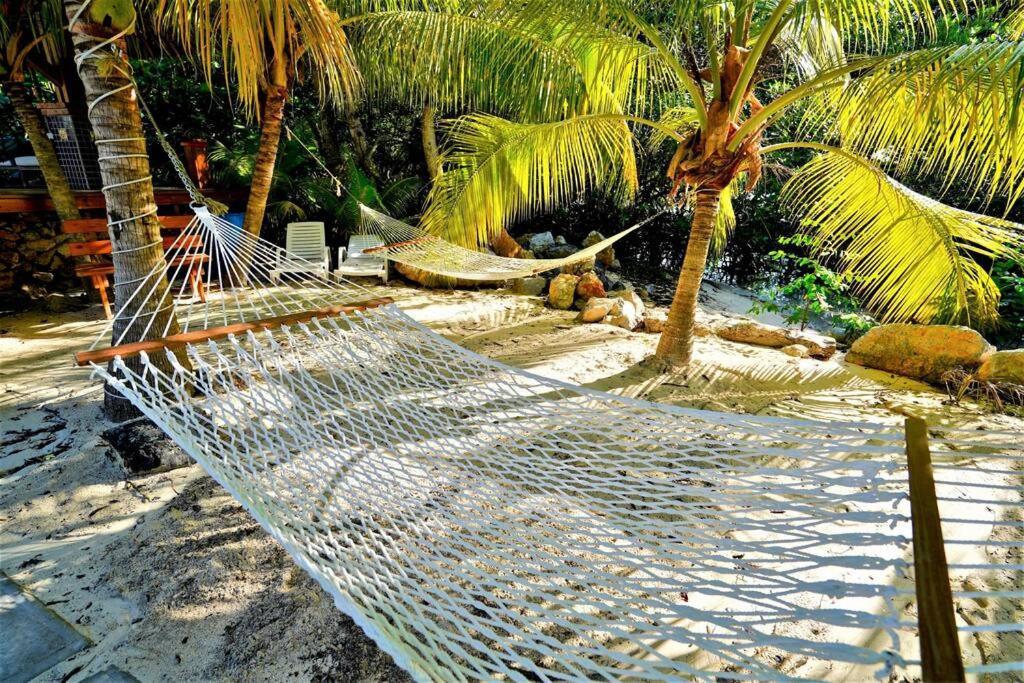 The Dock Resort Over Water Retreat West End Extérieur photo