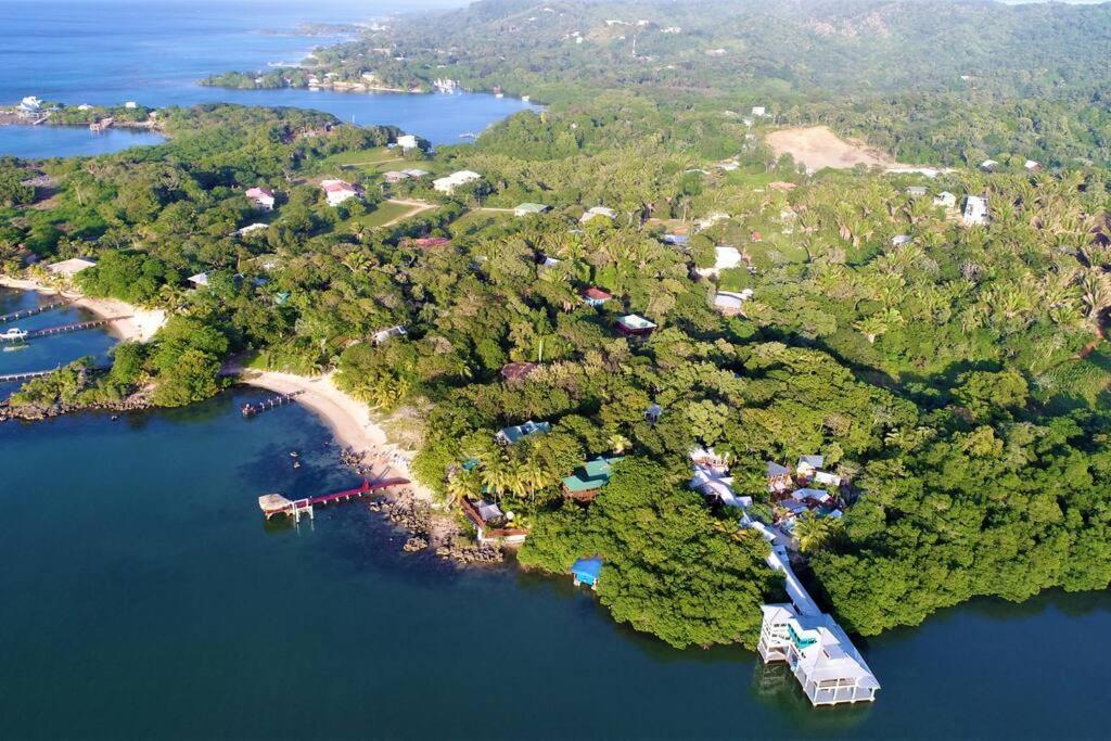 The Dock Resort Over Water Retreat West End Extérieur photo