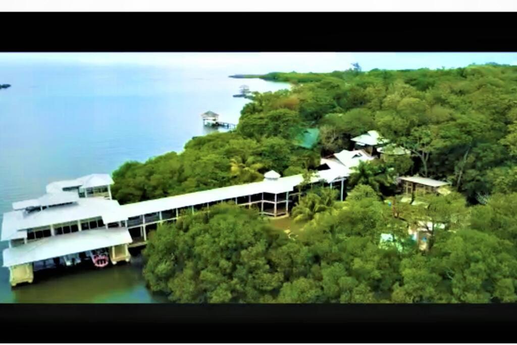 The Dock Resort Over Water Retreat West End Extérieur photo